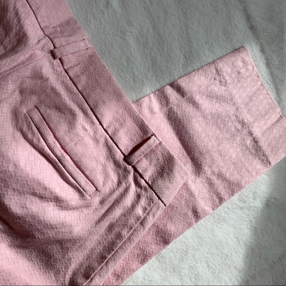 BANANA REPUBLIC | Pink hampton pant size 2 - Picture 10 of 11